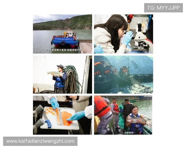 在K8捕鱼王官网了解最新赛事信息,参与线上线下活动 在K8捕鱼王官网了解最新赛事信息,参与线上线下活动